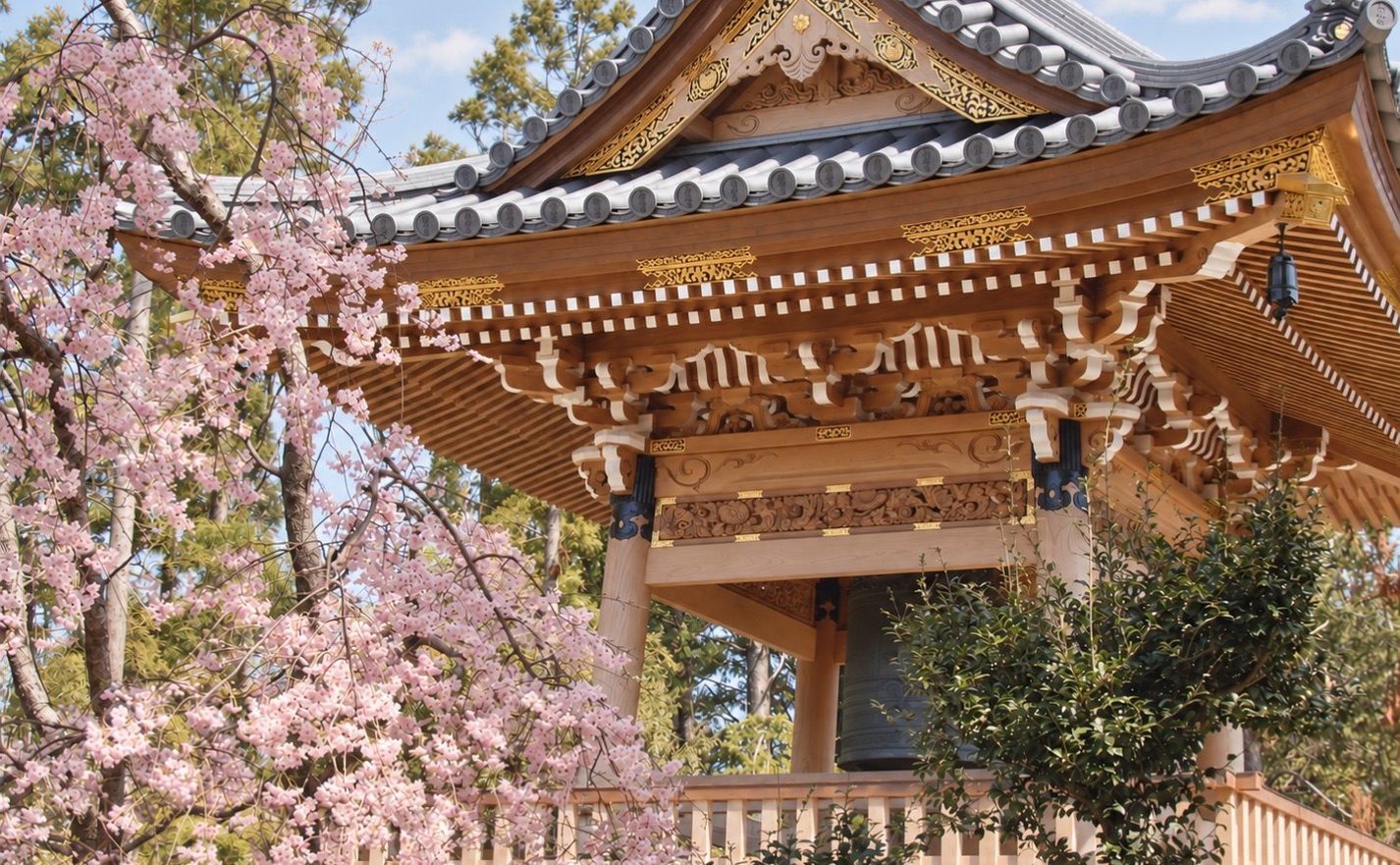桜と鐘楼